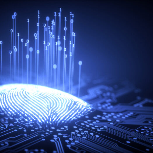 A shining fingerprint on a chip.
