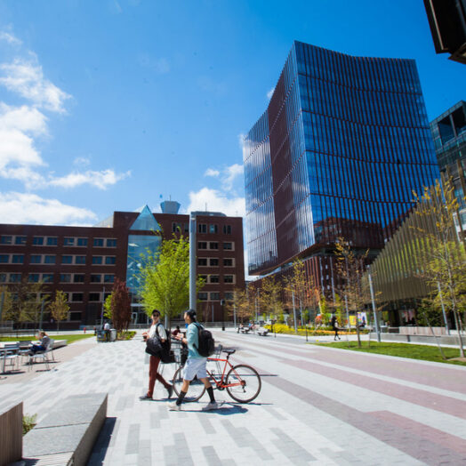The MIT campus.
